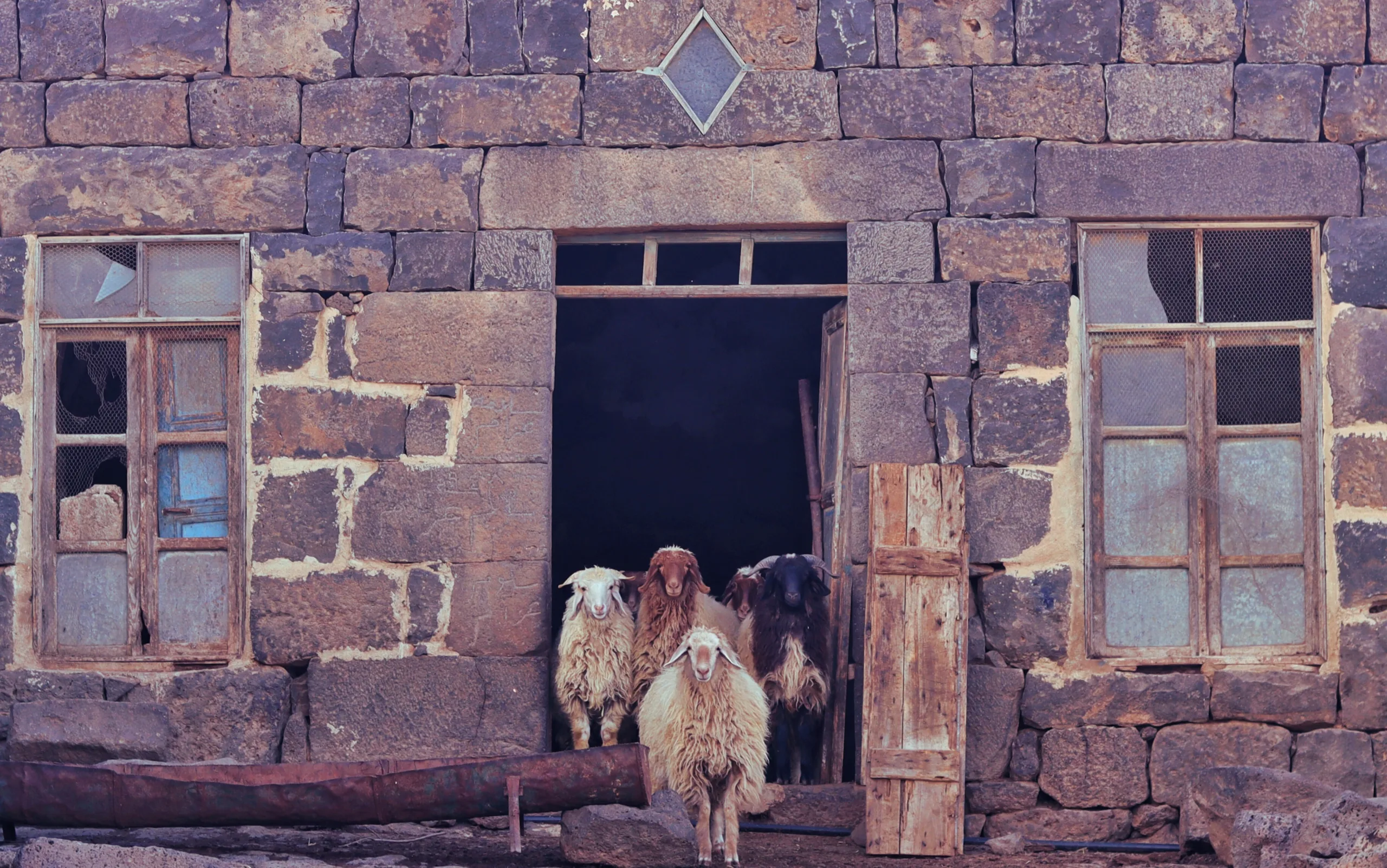 رسالة من عند باب الحظيرة