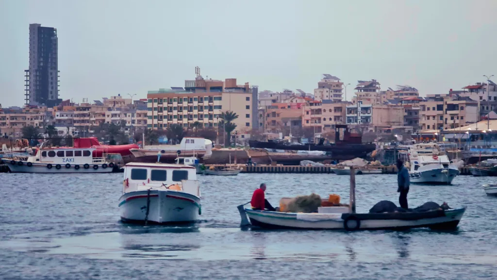 5677c417 2a65 4d5f ade2 1994684fa0ca