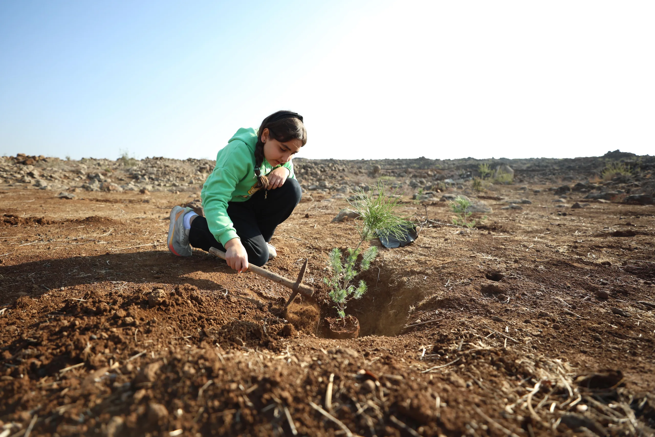 حملة تشجير أهلية تقاوم التدهور البيئي في السويداء